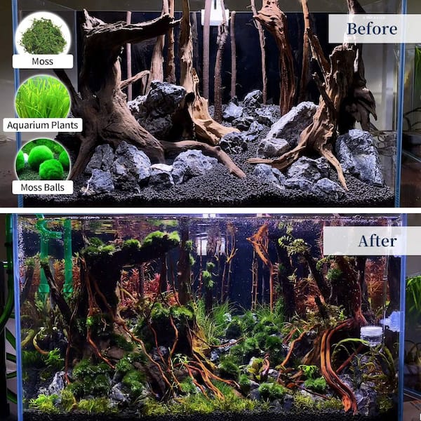 Augbeer 9-14 in. Natural Large Coral Driftwood with Assorted