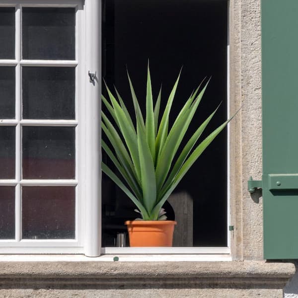 Vitalismo 33.5 in. Artificial Agave Plant With Ground Spike