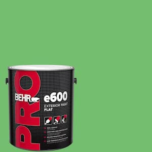 1 gal. #440B-5 Dublin Flat Exterior Paint