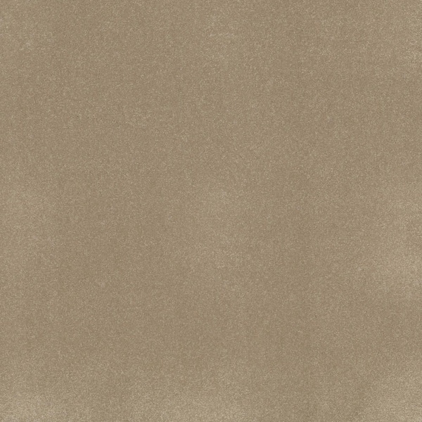 Park Royal II Oyster Beige 52 oz. Nylon Texture Carpet - Installation Required
