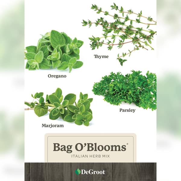 Unbranded Bag O'Blooms Italian Herb Mix, DIY Seed Kit (4-Packets), Assorted Herbs