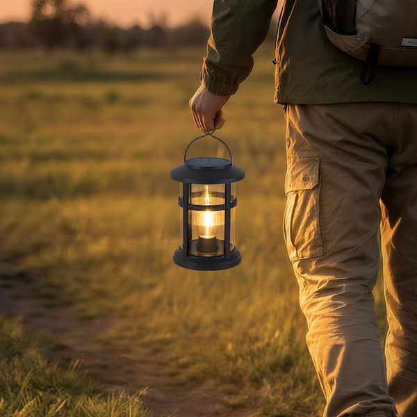 C Cattleya 1-Light Black Solar Outdoor Lantern with LED Light Bulb