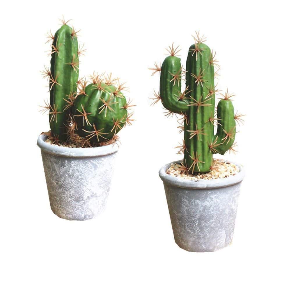 8.6 in. Gray Indoor/Outdoor Succulent Artificial Plant 2 Pack Faux Cactus Potted Decorative Home Decor price history on PriceWatchPro
