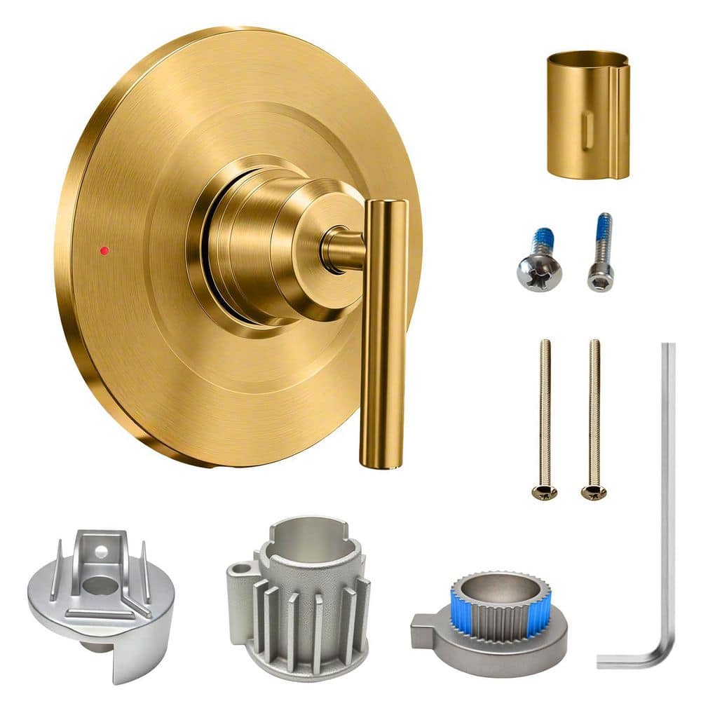 Brushed Gold Shower Trim Kit for Pressure-Balanced Valves, Metal Single-Handle, Compatible with 2510 2520 2570 2590 price history on PriceWatchPro