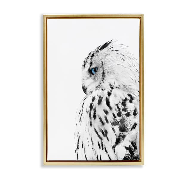 Stupell Industries Owl with Strong Blue Gaze by Design Fabrikken Gold Floater Frame Animal Graphic Art Print 31 in. x 21 in.