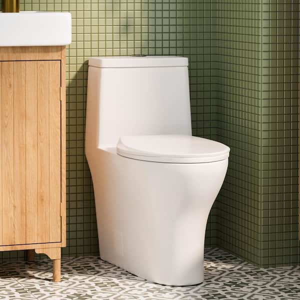PT9009 One Piece Toilet Modern Toilet with Comfort Chair Elongated Toilet 12 inch Rough in White