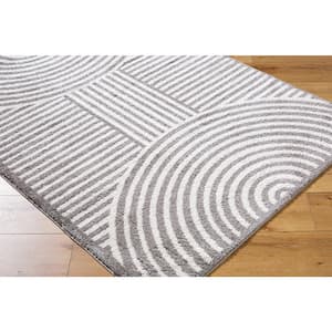 Fossay Shag Black 2 ft. x 3 ft. Modern Indoor Area Rug