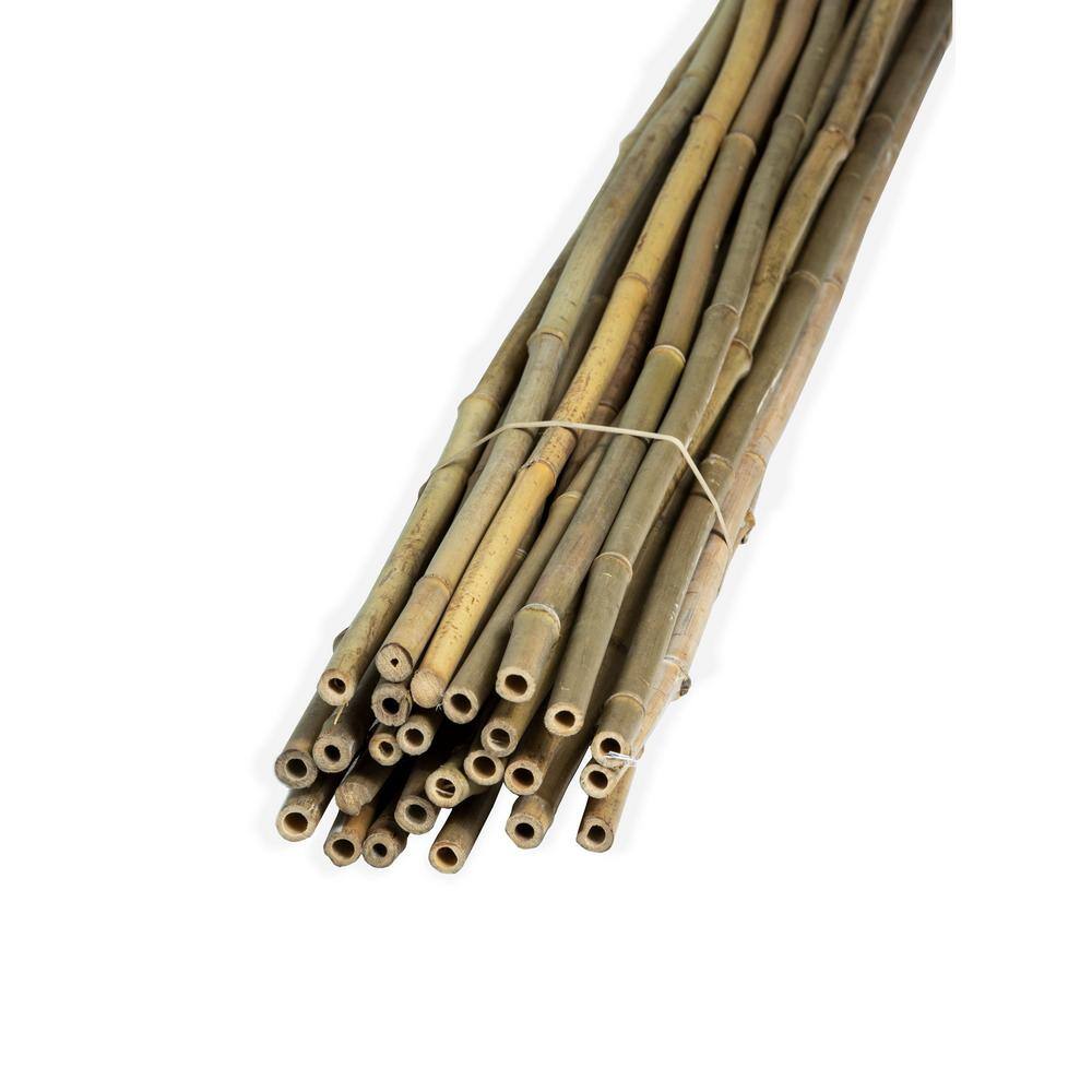Natural Bamboo Garden Stakes for Plant Support, 48" Length