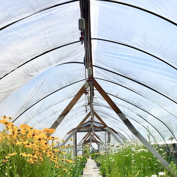Greenhouse Film 16 ft. x 28 ft. 6 ml Polyethylene UV Resistant Greenhouse Clear Plastic for Agriculture