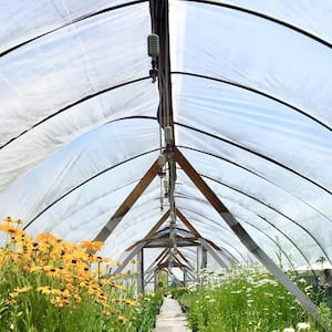 25 ft. x 40 ft. 6 Mil Greenhouse Film Corrosion and Tear-Resistant Clear UV Greenhouse Plastic for Landscaping Projects