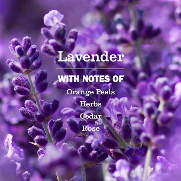 Reviews for Mrs. Meyer's Clean Day 16 oz. Lavender Multi-Surface