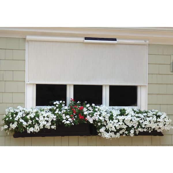 Bali Essentials Coral White Cordless Light Filtering Fade Resistant Vinyl Horizontal Exterior Roll-Up Shade 36 in. W x 84 in. L