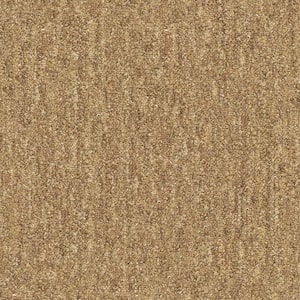 Port Isabel - Hearth - Brown 15 ft. 46.8 oz. SD Nylon Pattern Installed Carpet