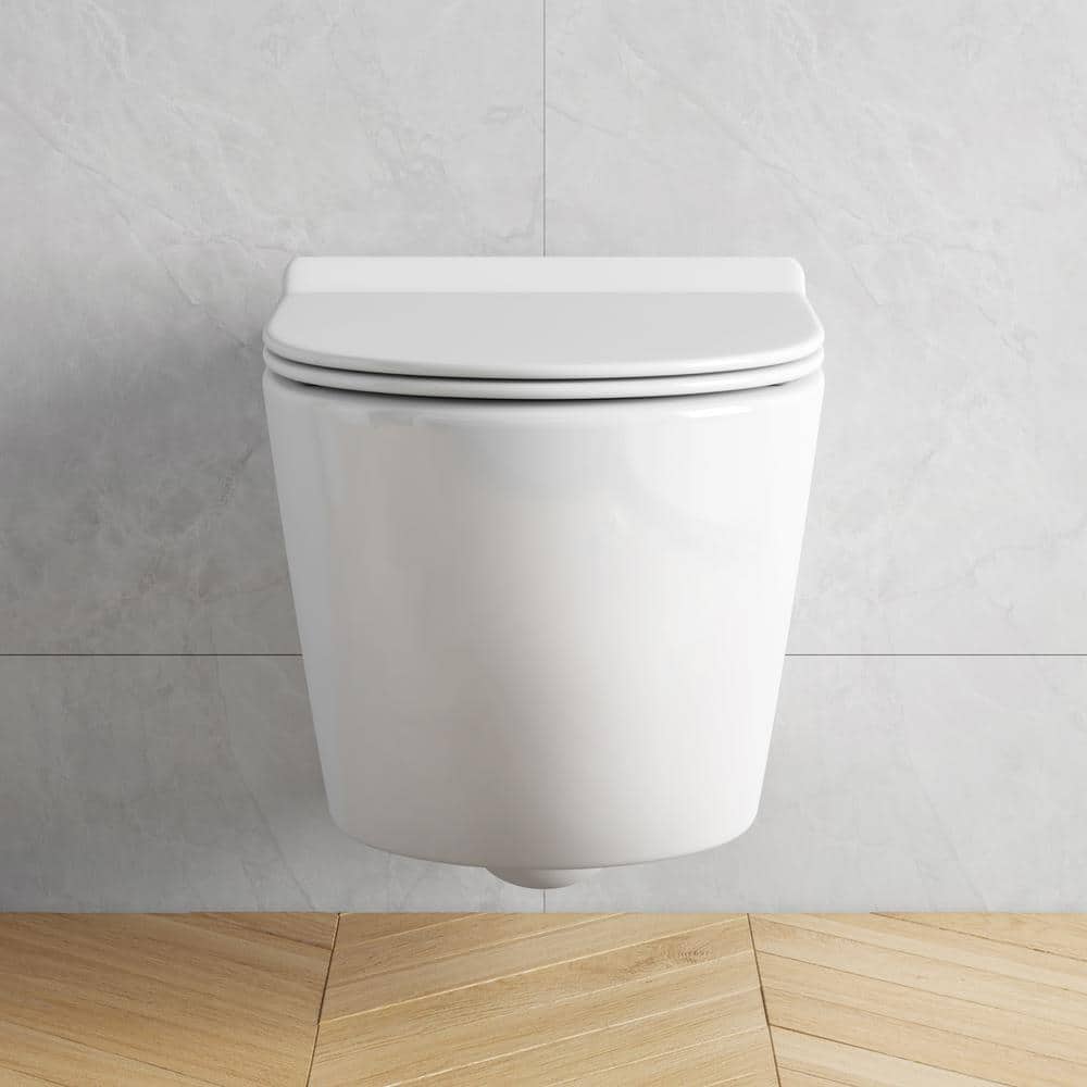 Hampton White Wall Mounted Dual Flush Toilet