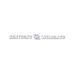 Kentucky Wildcats Sun Stripe 3.25 in. x 34 in. Windshield Decal