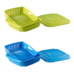 2-Piece Set Bitty Berry Box, Green and Blue