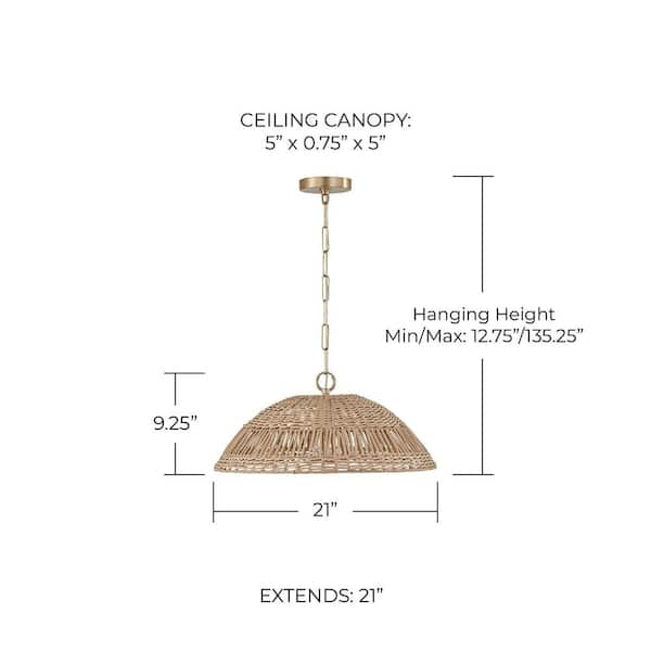 Capital Lighting Fixture Company Naomi 100-Watt 1-Light Matte