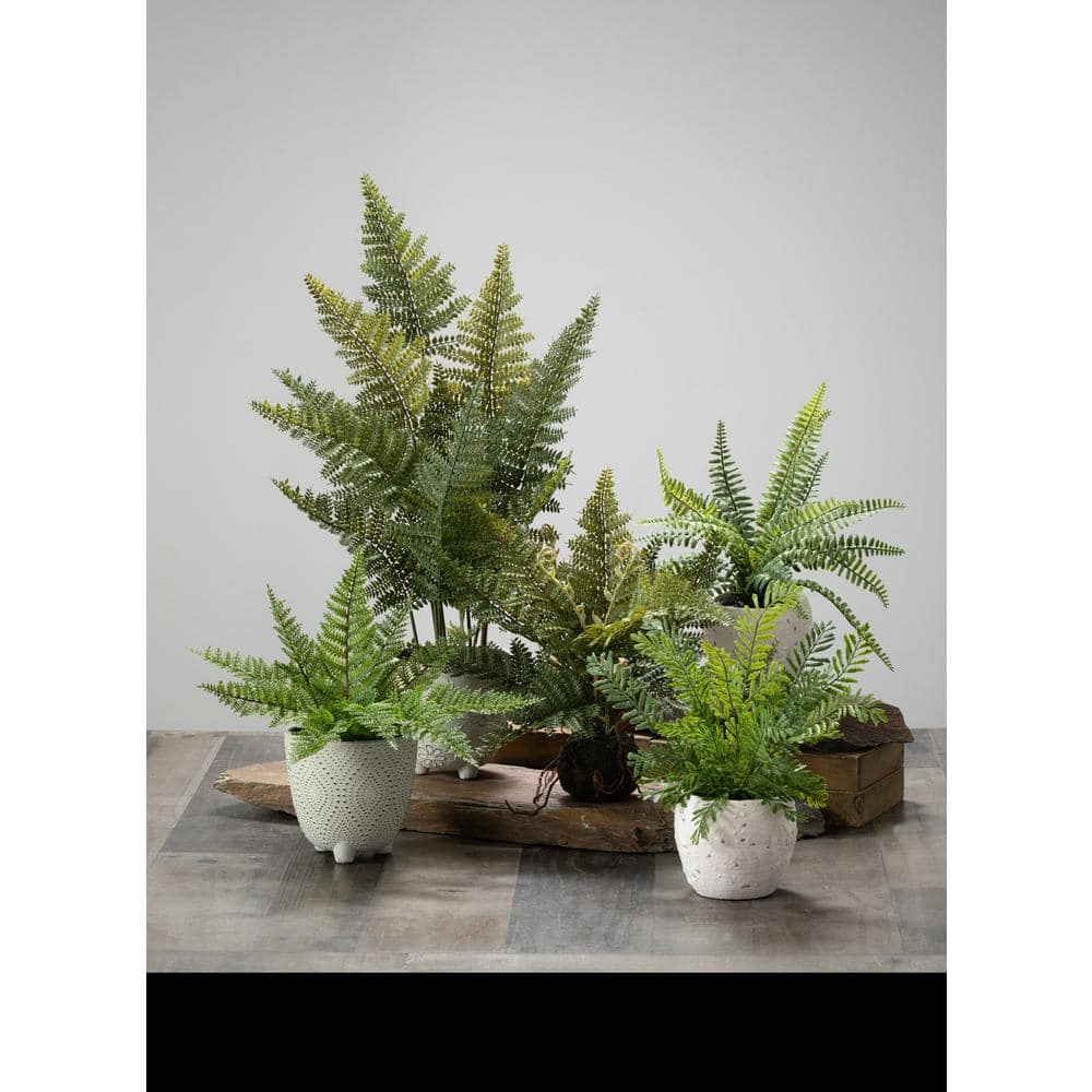 Green Plastic Artificial Fern in Moss Ball Tabletop Decor