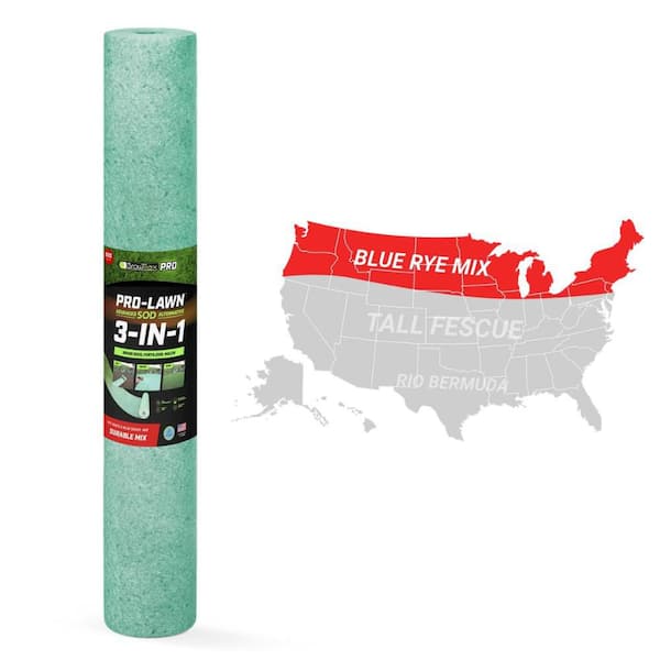 Large Area, Pro-Durable Mix 500 sq. ft.