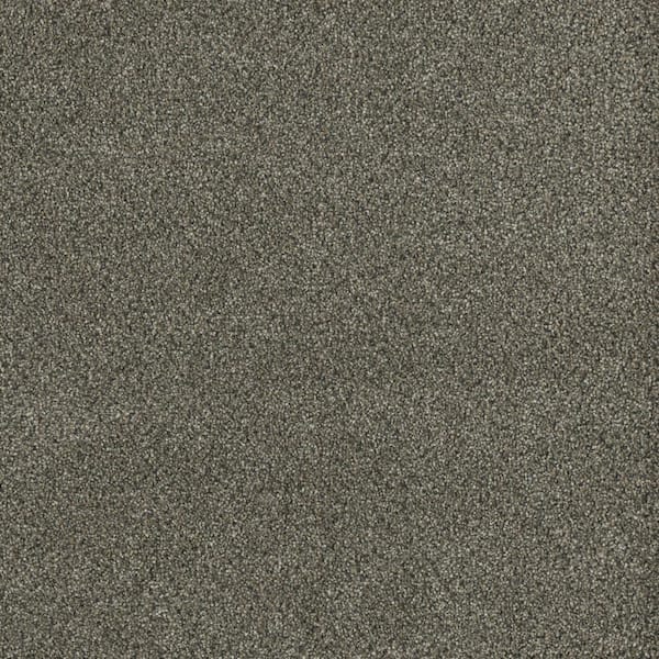 Soft Breath Plus III - Arcadia Brown - 60 oz. SD Polyester Texture Installed Carpet