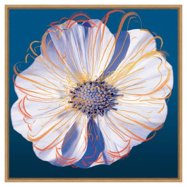 Amanti Art Flower Pop Pastel II by Marie Elaine Cusson 30 in. W x 30 in. H Canvas Float Frame in Brown