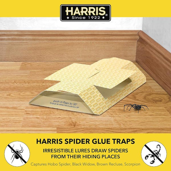 Harris Clothes Moth Sticky Traps 4 Pack