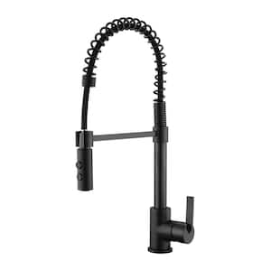 Euro Spring Single-Handle Pull-Down Sprayer Kitchen Faucet w/Accessories Rust and Spot Resist in Oil Rubbed Bronze