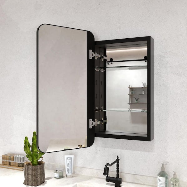 15 in. W. x 24 in. H Rectangular Framed Recessed/Surface Mount Medicine Cabinet with Mirror in Matte Black