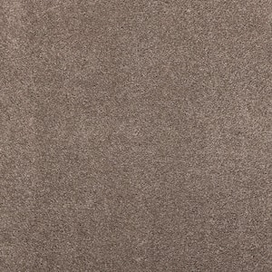 Plush Dreams II - Plush-Brown  12 ft. 53 oz. Triexta Texture Installed Carpet