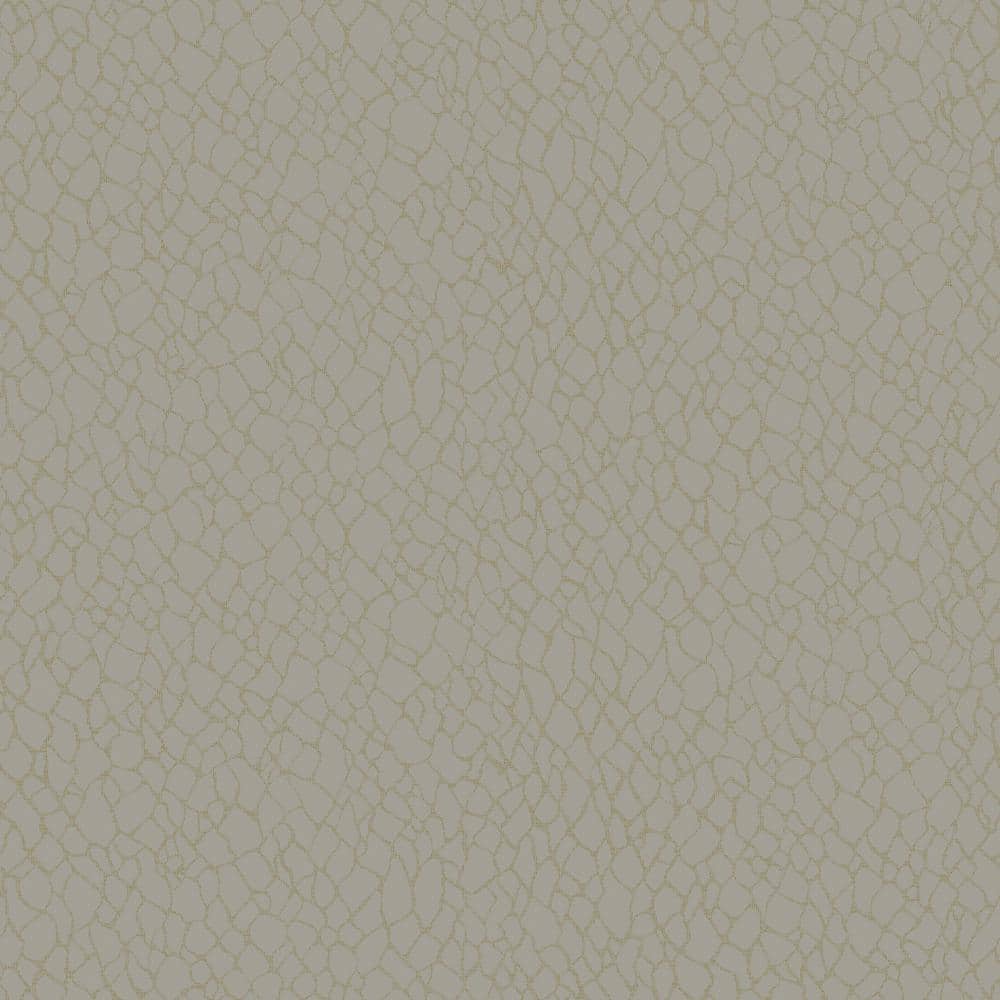 Boutique Collection Beige Metallic Webbing Non-Pasted Paper on Non-Woven Wa