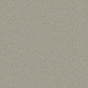 Boutique Collection Beige Metallic Webbing Non-Pasted Paper on Non-Woven Wallpaper Roll
