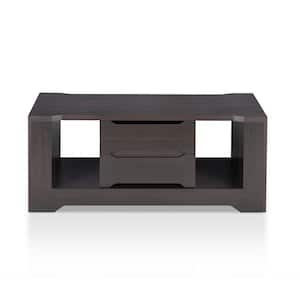 Dryden 47 in. Espresso Rectangle Wood Coffee Table with 2-Drawer