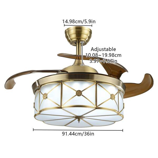 Antique Style Ceiling Fan With Light | Shelly Lighting