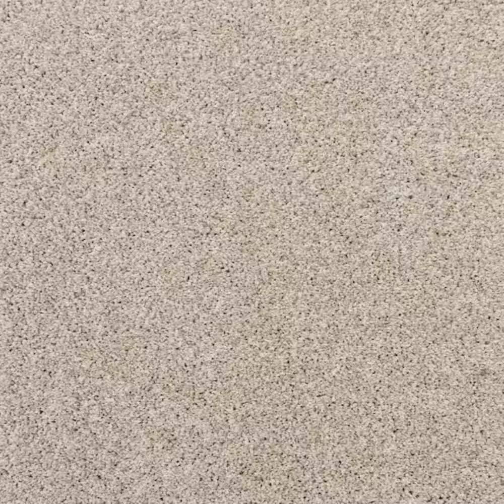 8 in. x 8 in. Texture Carpet Sample-Magalynn I-Color Hudson Bay price history on PriceWatchPro