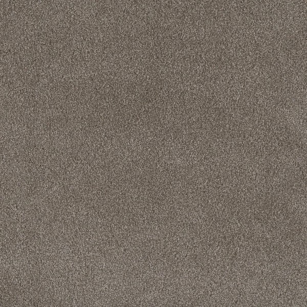 Home Decorators Collection First Class I - Manor - Beige 32 oz. SD Polyester Texture Installed Carpet