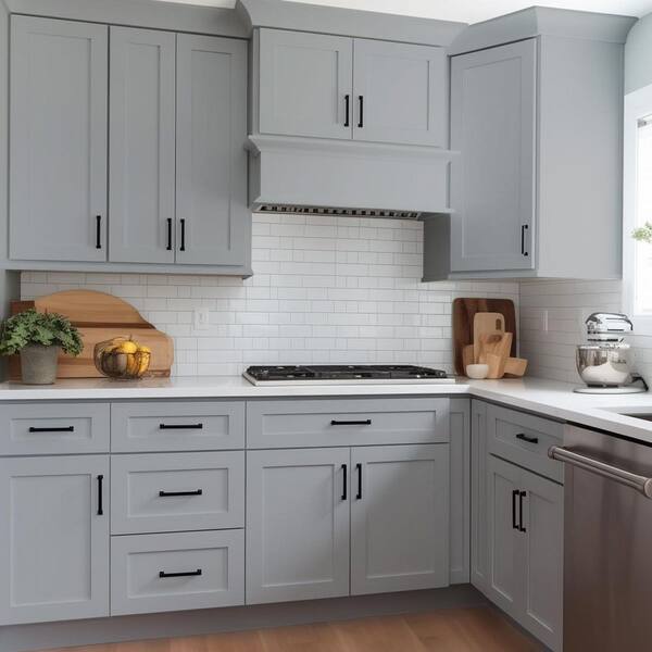 Kunal Kitchens Cumberland Recessed 21 in. W x 30 in. H x 12 in. D