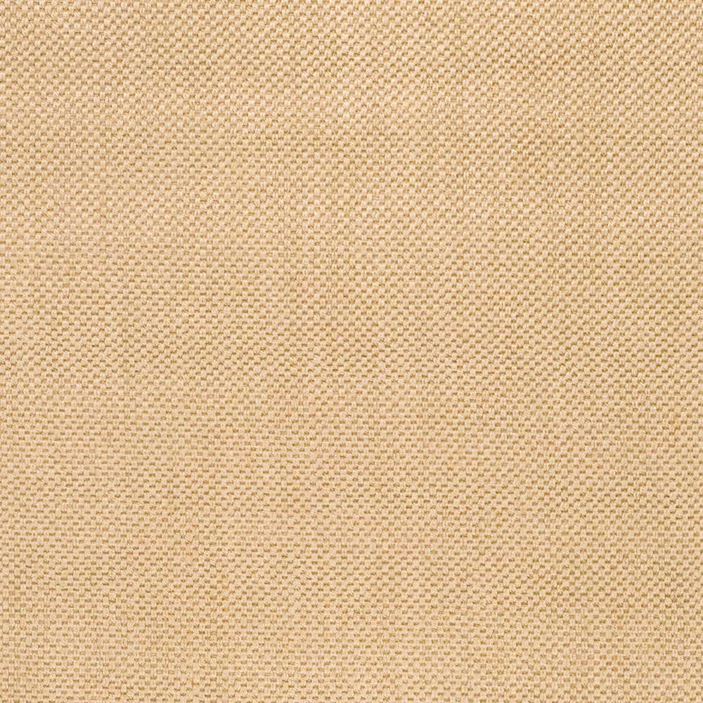 Maize Wheat Hand-Knotted Cotton Area Rug 5' x 8'