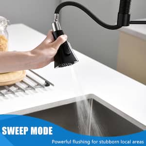 Single Handle Pull Down Sprayer Kitchen Faucet with Advanced Spray, Pull Out Sprayer in MatteBlack Stainless