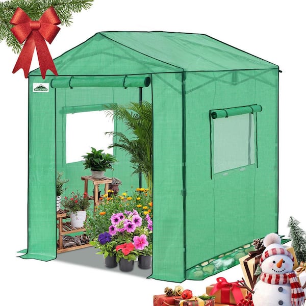 6 x 6 Portable Pop Up Greenhouse, Walk-In Outdoor Garden Plant Greenhouse