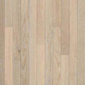 American Originals Sugar White Oak 3/4 in. T x 3-1/4 in. W x Varying L Solid Hardwood Flooring (22 sq. ft. /case)