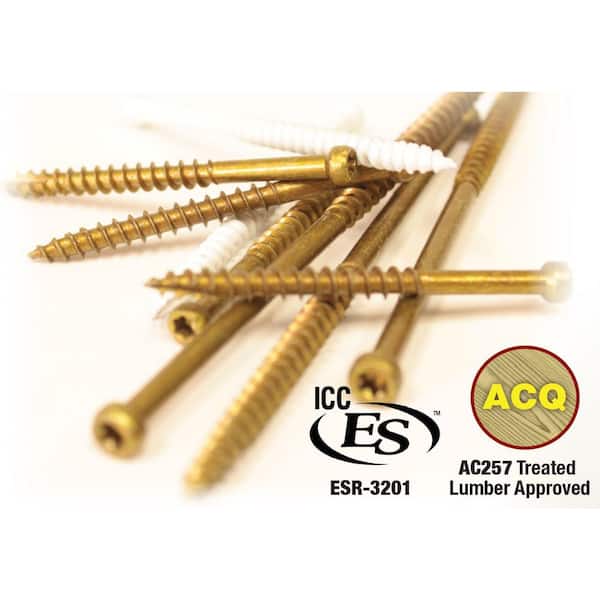 Viti Coniche In Titanio M5 X 8-75 | DIN 912 Grado 5 | Colore Oro | FTC - Foto 2