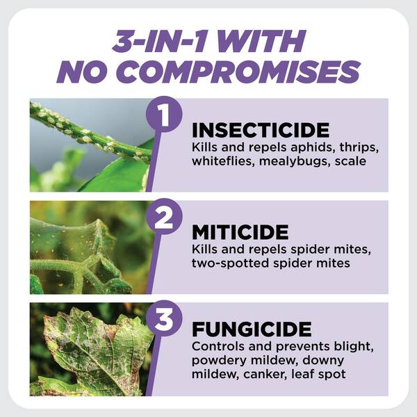 3-In-1 Plant Spray Insecticide, Miticide and Fungicide 1 Qt