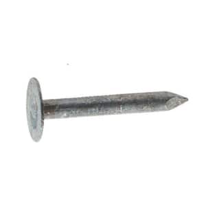 3/8 in. x 10 in. Spikes Hot Dipped Galvanized 50 lbs (Approximately 150 Pieces)