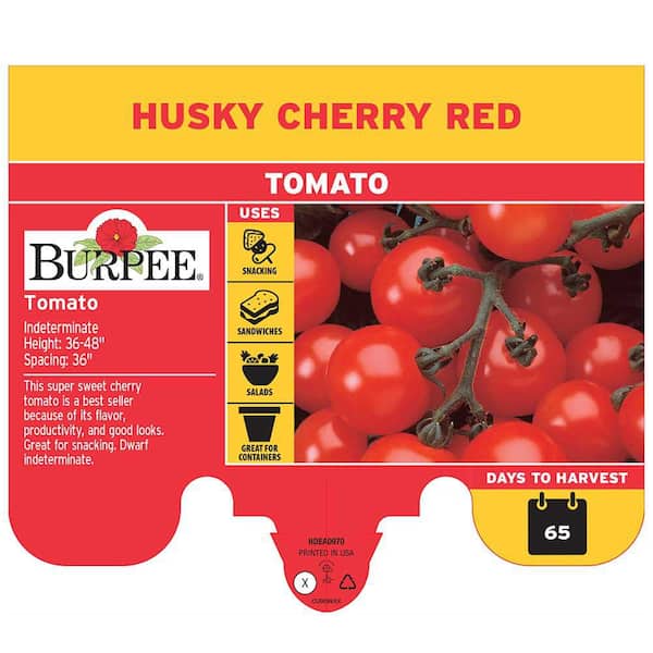 Burpee 3.5 in Husky Cherry Red Tomato Plant (2-Pack) TOMHSCRR8
