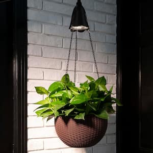 30 in. H Hanging Solar Lighted Plastic Basket/Planter