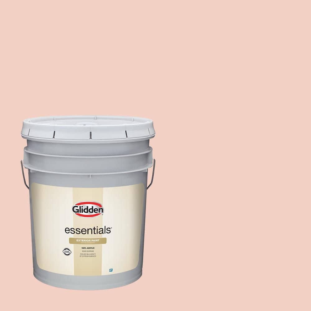 5 gal. PPG1063-3 Pale Coral Semi-Gloss Exterior Paint price history on PriceWatchPro