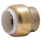 3/4 in. Push-to-Connect PVC IPS Brass End Stop Fitting