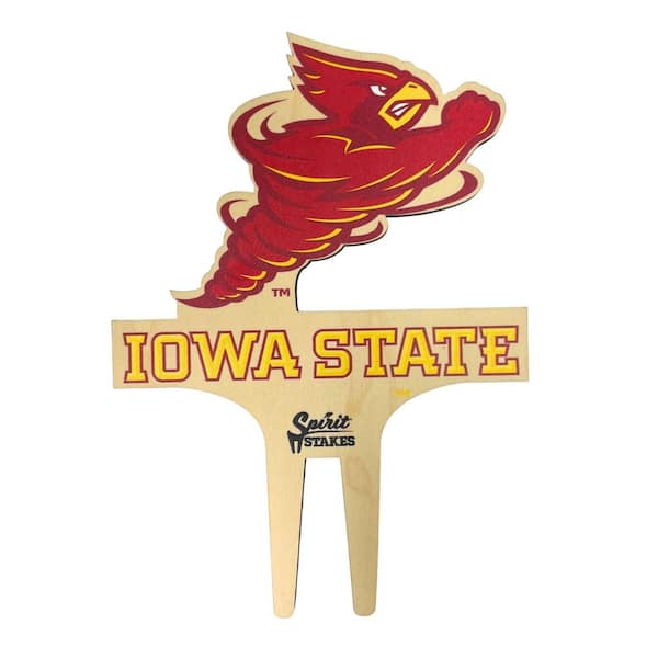 Iowa State Cyclones Color Planter Accessory