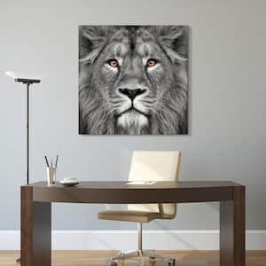 38 in. x 38 in. "King of the Jungle Lion" Frameless Free Floating Tempered Glass Panel Graphic Art