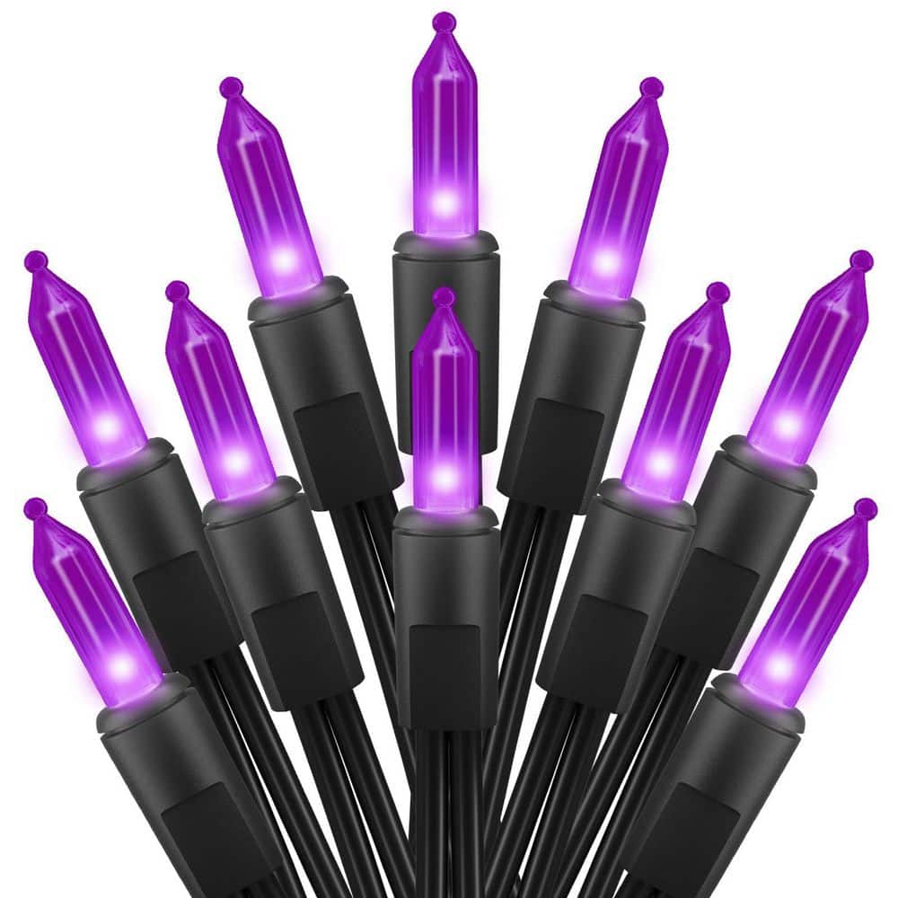Purple Halloween Mini Lights (2-Pack), 13 ft. 50-Count Totally 100-Count Incandescent Bulb Mini String Lights price history on PriceWatchPro